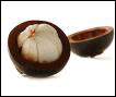 Mangosteen fruit Replica